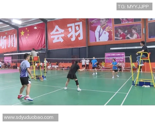 羽毛球比赛经验排行榜揭晓杭州羽毛球队荣获第三名的背后故事