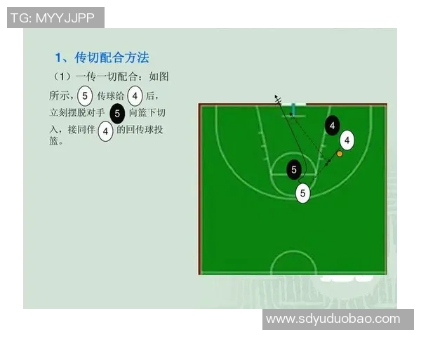 杭州篮球队进攻体系解析:战术布局与球员配合的完美结合